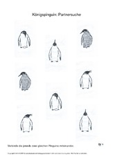019 pinguin partnersuche schwierig.pdf